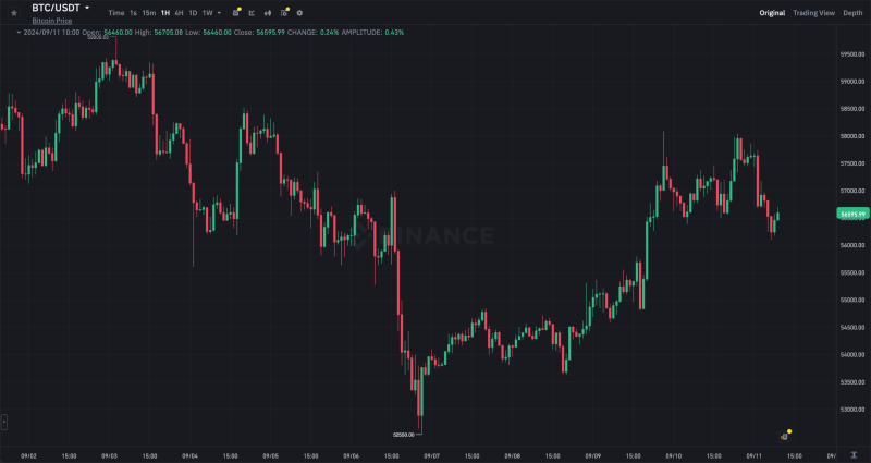 Биткоин-ETF крайне популярны среди инвестиционных советников. Что это значит для криптовалют?